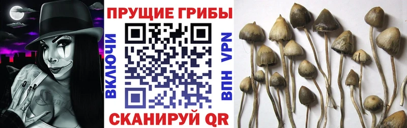 Галлюциногенные грибы ЛСД  наркотики  Лиски 